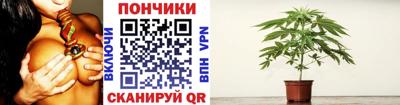 Купить наркоту Южноуральск Каннабис  КОКАИН  ГАШИШ  СОЛЬ  ОМГ ОМГ как войти  Меф 