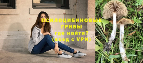 герыч Ладушкин