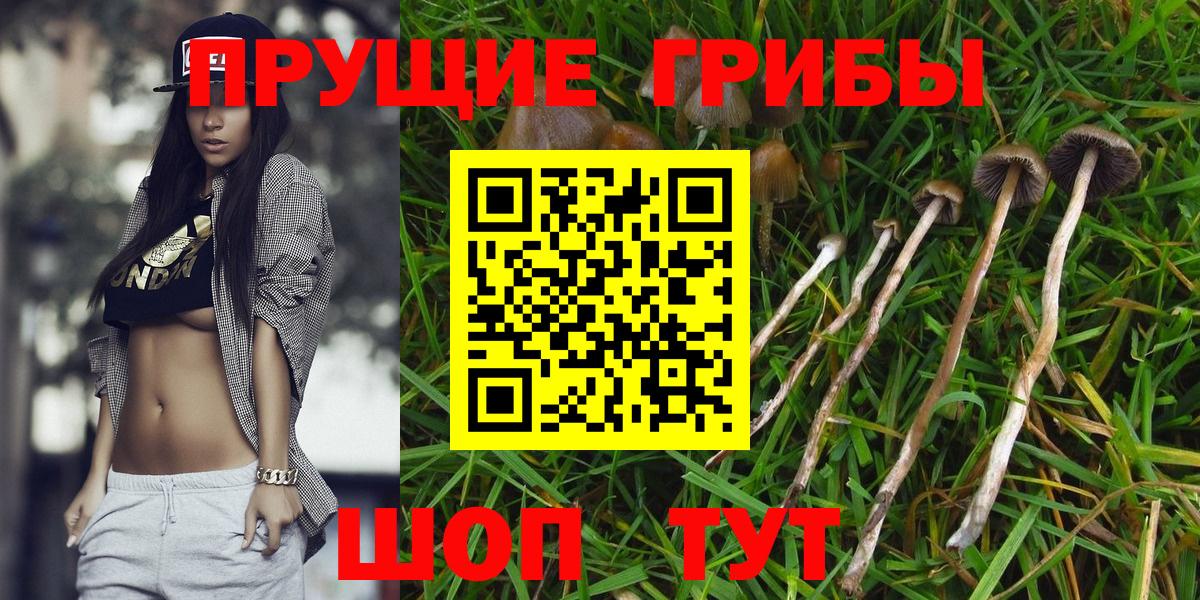 Галлюциногенные грибы Psilocybine cubensis  наркота  Южноуральск 