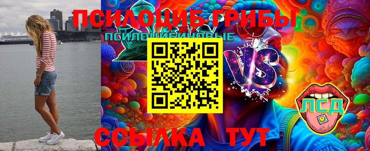 Южноуральск  Галлюциногенные грибы мухоморы  Вход с VPN 